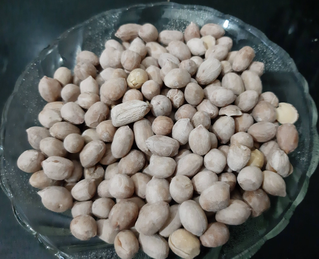 Khari Sing/Salted Peanuts Recipe